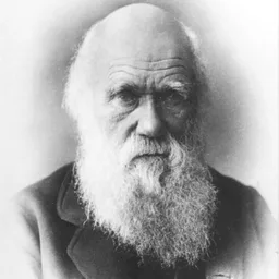 Психология Мозг Эрудит