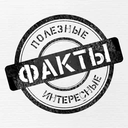 ПИФ - Полезные Интересные Факты