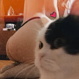 сливы знатных дам 18+