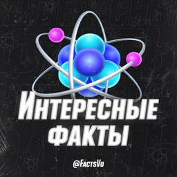 Группа магазина автотоваров MCarDrive