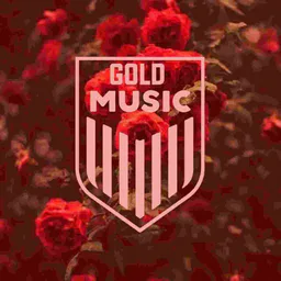 ✨Music player™🔥