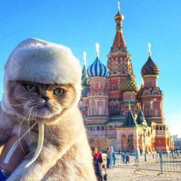 Афиша МОСКВЫ