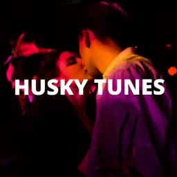 ◟♡ 𝐡𝐮𝐬𝐤𝐲 𝐭𝐮𝐧𝐞𝐬 🪩ˋ