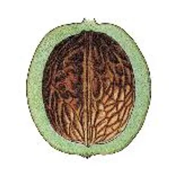 Лингворус • Переходник