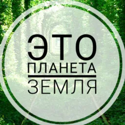 Это интересно!