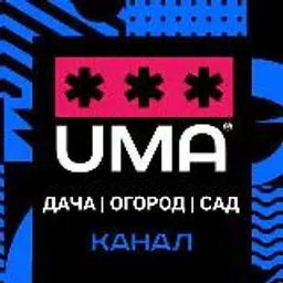 Зеленый мир | Растения вокруг человека