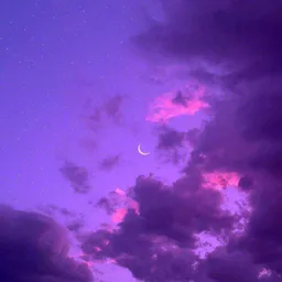 ༄𝑷𝒖𝒓𝒑𝒍𝒆 𝒔𝒕𝒓𝒆𝒆𝒕࿐