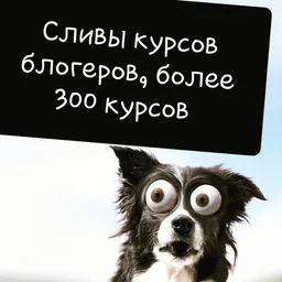 T.me/sliv_kurrsov МЫ ЗДЕСЬ