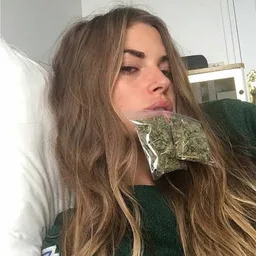 твои сохраненки 😻