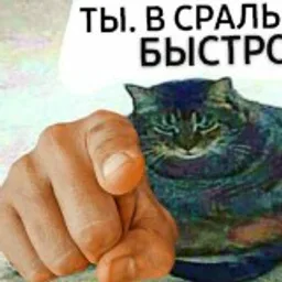 Сегодня я спиздила мем🐁