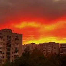 Искусство и эстетика🪅
