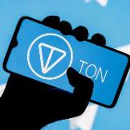 TON crypto success