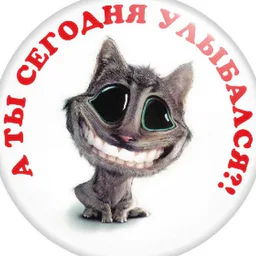 Убойный юмор!