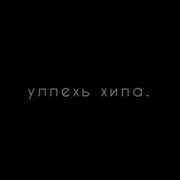 Сливы гайды курсы