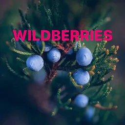 Находки на Wildberries🔥