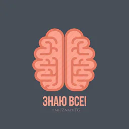 💡Знаю все!