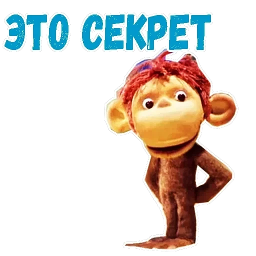 38 попугаев — 11
