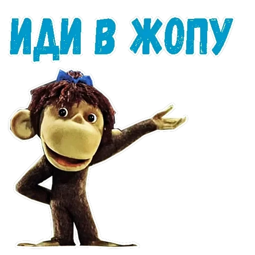 38 попугаев — 13