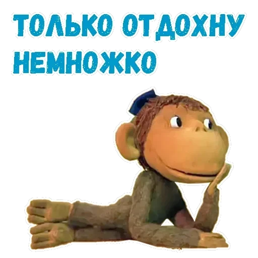 38 попугаев — 15