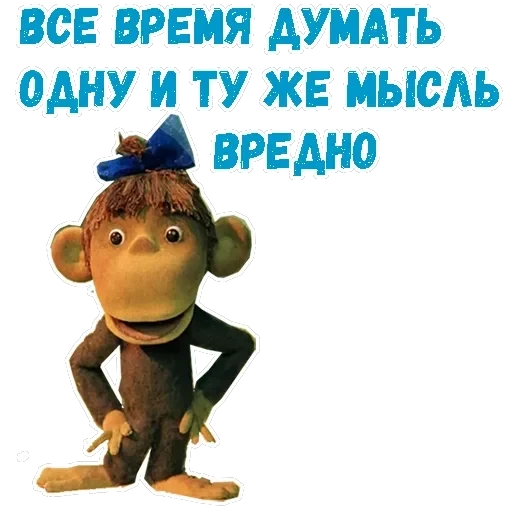 38 попугаев — 18