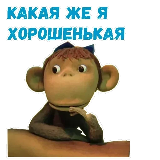 38 попугаев — 19