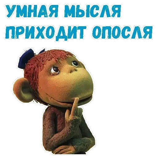 38 попугаев — 21