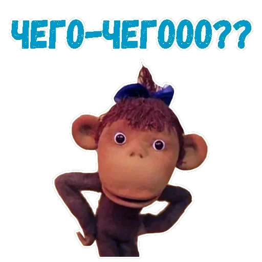 38 попугаев — 5
