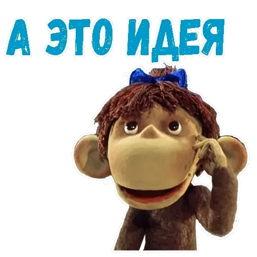 38 попугаев — 8
