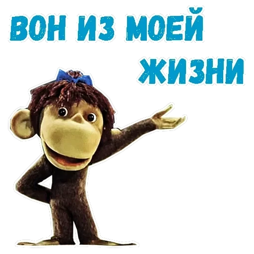 38 попугаев — 10
