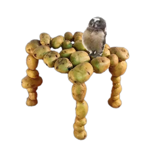 #4 funny — 37