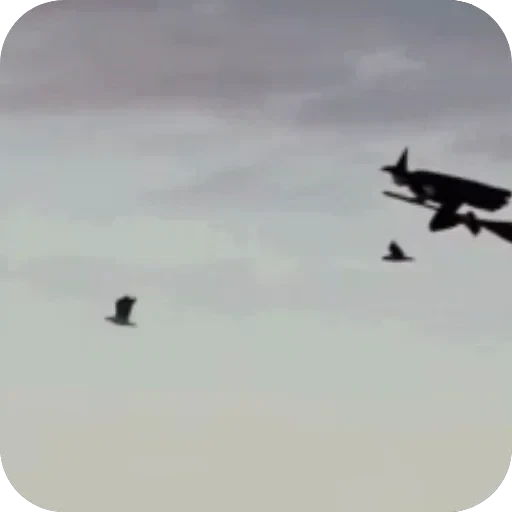 #4 funny — 46