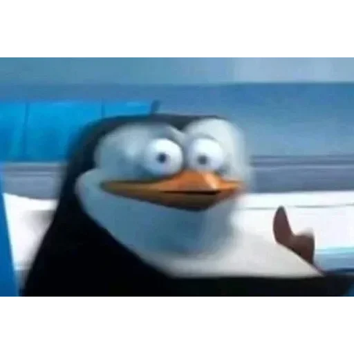 А хуй його зна — 13