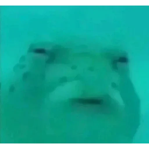 А хуй його зна — 29
