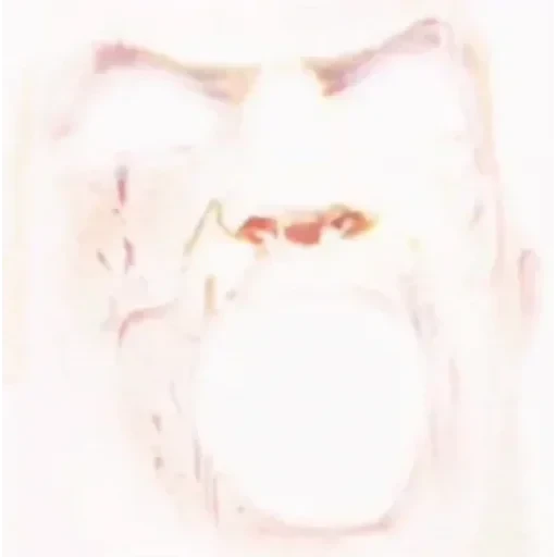 А хуй його зна — 48