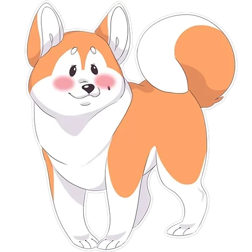 Akita — 1
