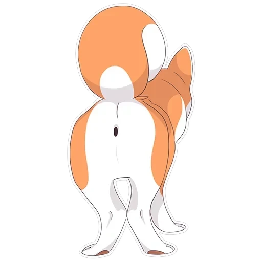 Akita — 5