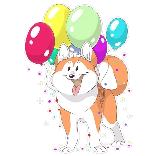 Akita — 6