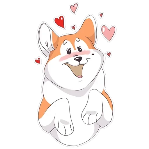 Akita — 7