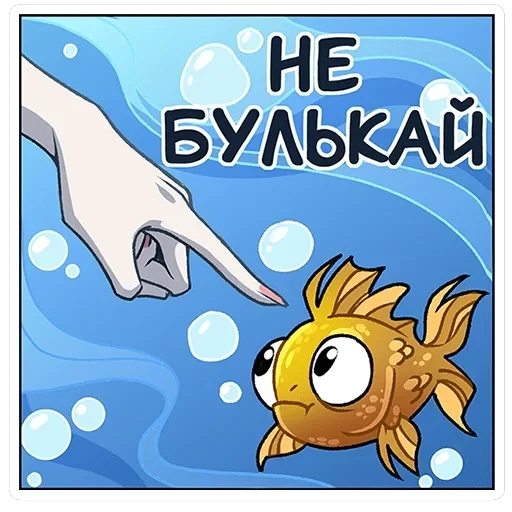 Аква — 12