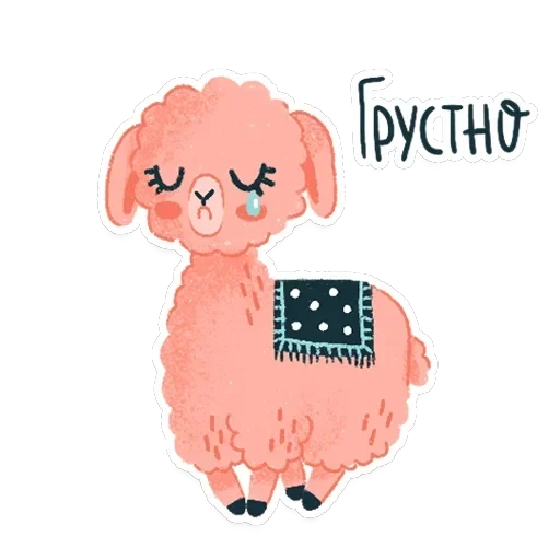 Alpaca — 13