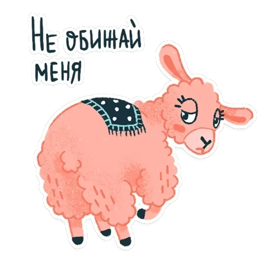 Alpaca — 15