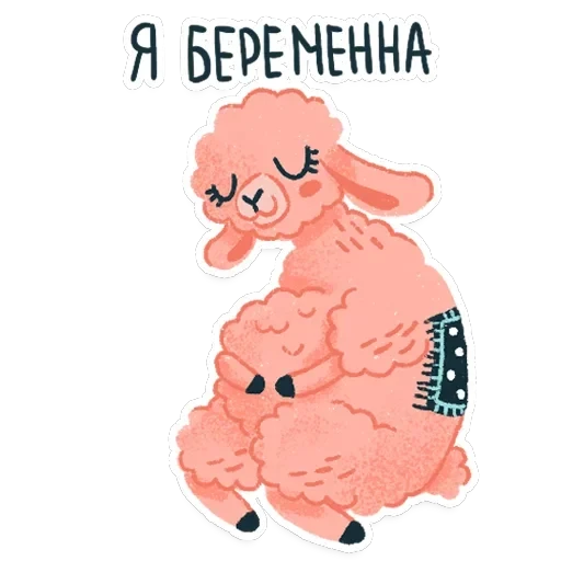 Alpaca — 19