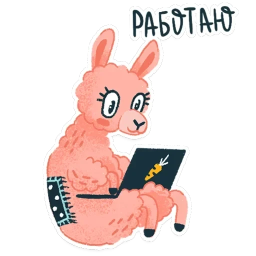 Alpaca — 20