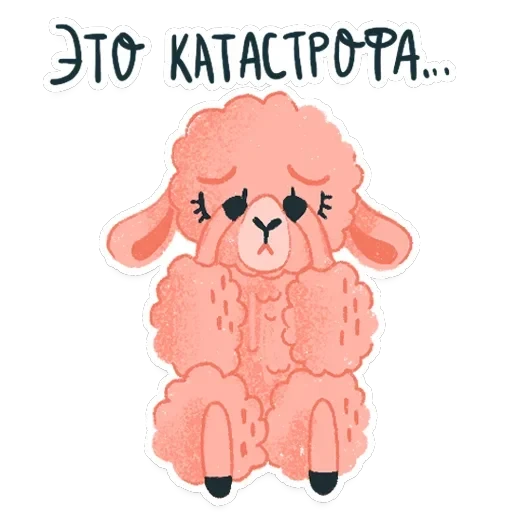 Alpaca — 3
