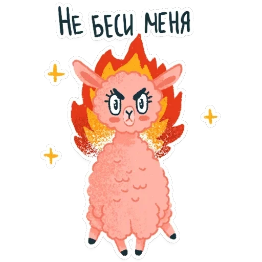 Alpaca — 25
