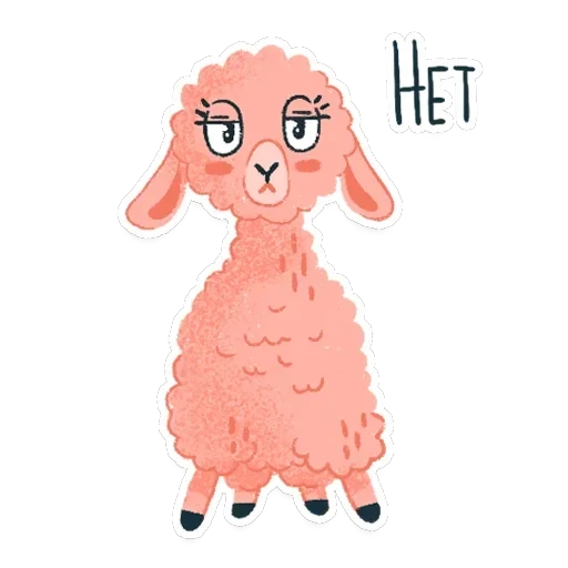 Alpaca — 5