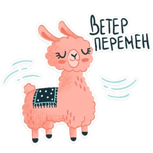 Alpaca — 6