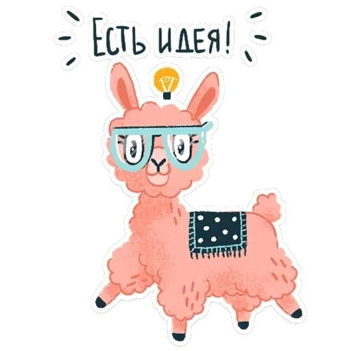 Alpaca — 10