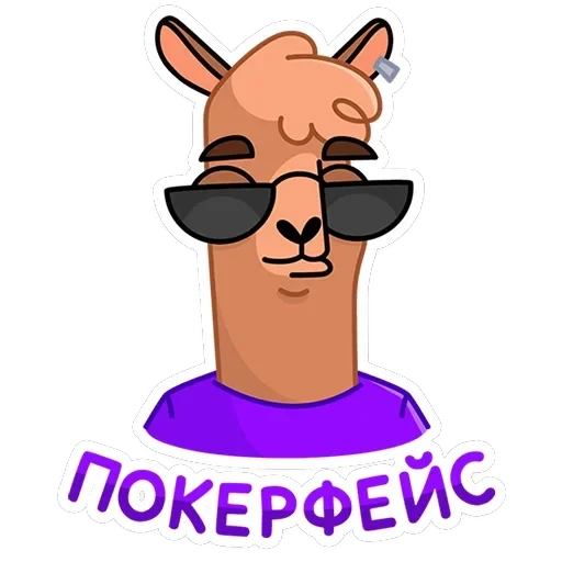 Альпака Халви — 17