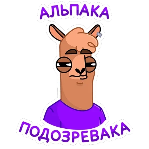 Альпака Халви — 18